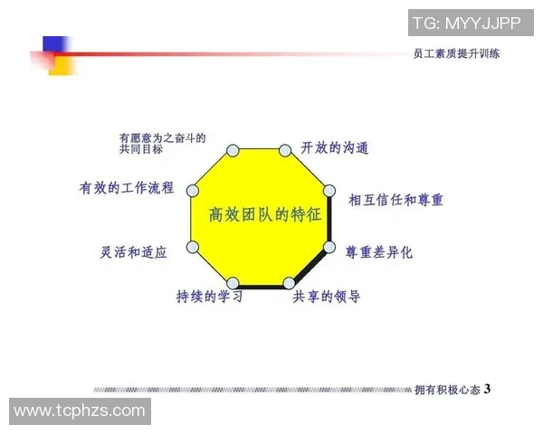 南京羽毛球队团队协作的成功秘诀与实践探索分析