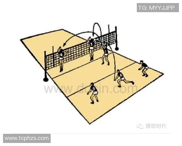 上海排球队的战术解析与深度控制策略探讨