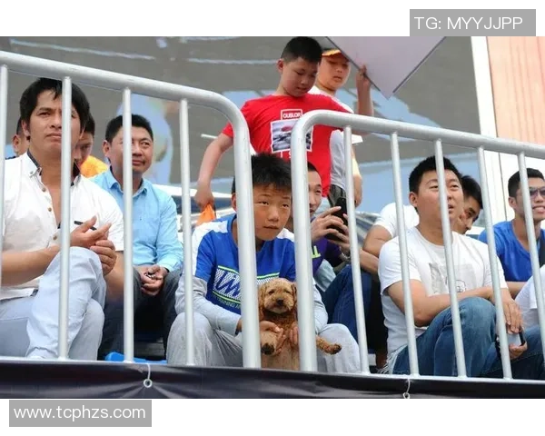 深度对话:杨娜如何在篮球世界中追寻梦想与挑战自我 深度对话:杨娜如何在篮球世界中追寻梦想与挑战自我